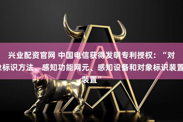 兴业配资官网 中国电信获得发明专利授权：“对象标识方法、感知功能网元、感知设备和对象标识装置”