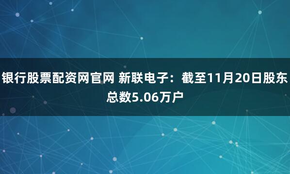 银行股票配资网官网 新联电子：截至11月20日股东总数5.06万户